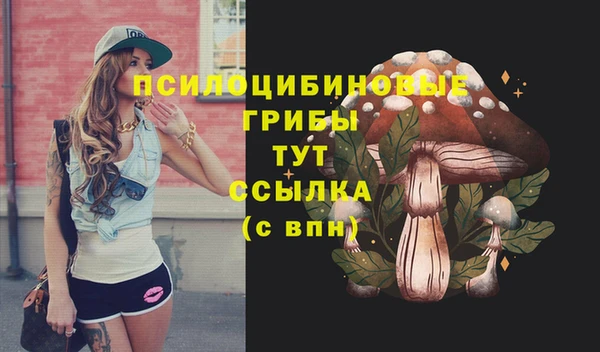 марки nbome Богородицк