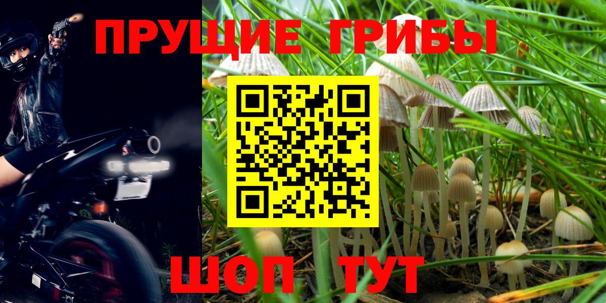 Галлюциногенные грибы Cubensis  Псилоцибиновые грибы мухоморы  Вход с VPN  Бузулук 